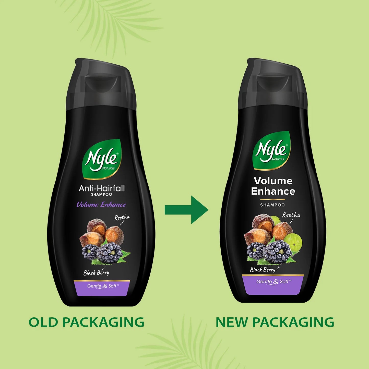 Nyle Volume Enhance Anti-Hairfall Shampoo 180ml – Reetha & Blackberry