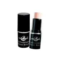 Christine Professional Paint Stick